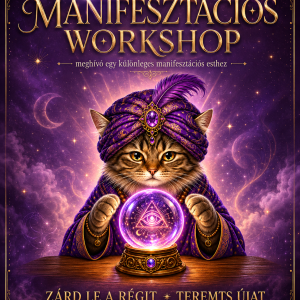 Manifesztációs workshop