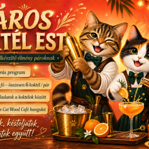 Páros Koktél Készítőest 2026.10.12